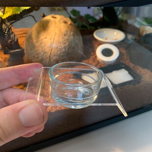 睫角守宫果泥碗托蜘蛛蝎子昆虫玻璃水碗食盆防倾倒托盘亚克力材质
