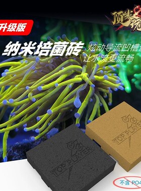 顶J玩家神砖纳米培菌砖过滤高透水淡海水鱼缸滤材硝化细菌屋无PO4