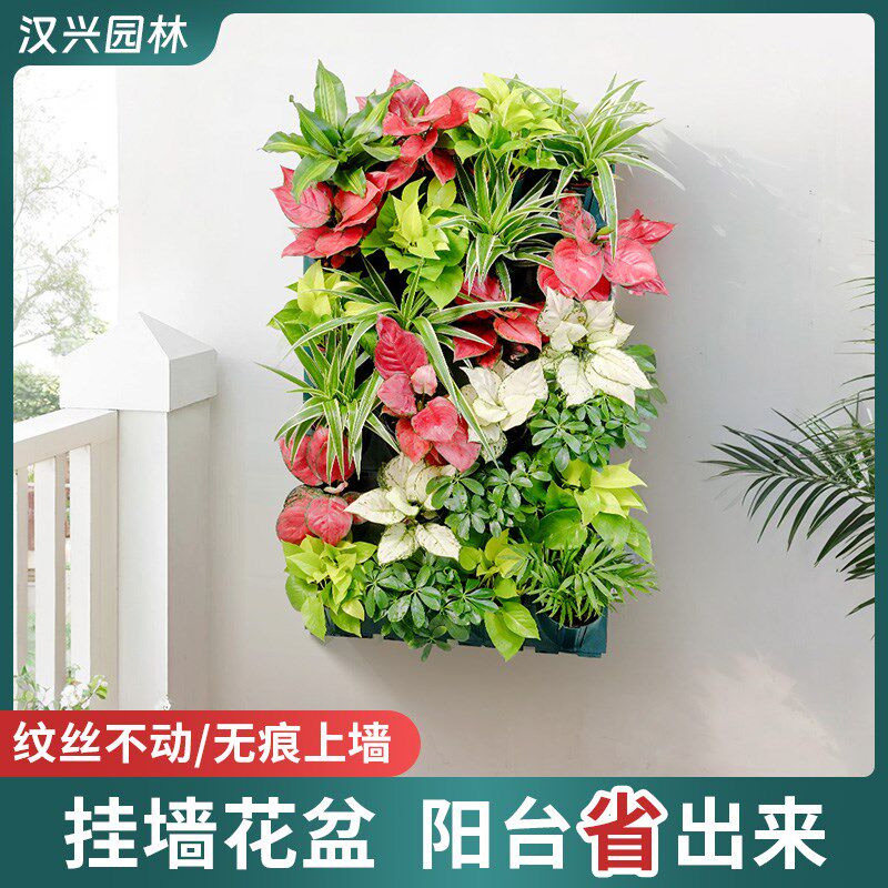 阳台水培壁挂花盆墙上装饰品墙面创意餐厅卧室墙饰挂饰墙壁挂件
