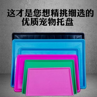 中大号狗笼子托盘接尿盘塑料加厚接粪盆鸡笼底盘兔笼宠物笼具托盘