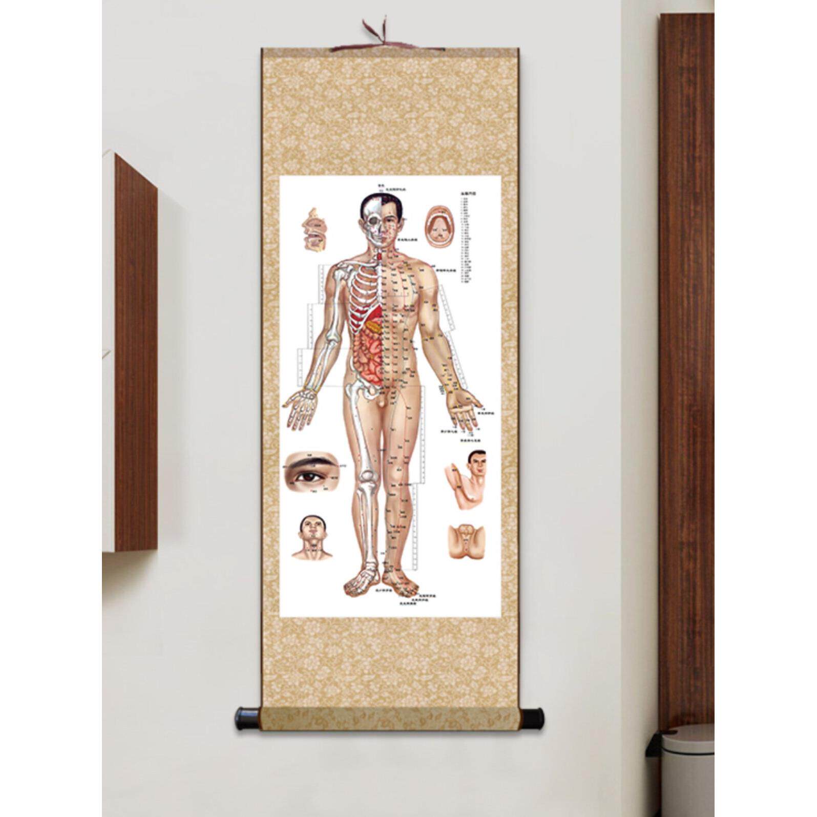 人体穴位图中医养生美容院诊所经络图针灸图装饰画挂画丝绸画卷轴