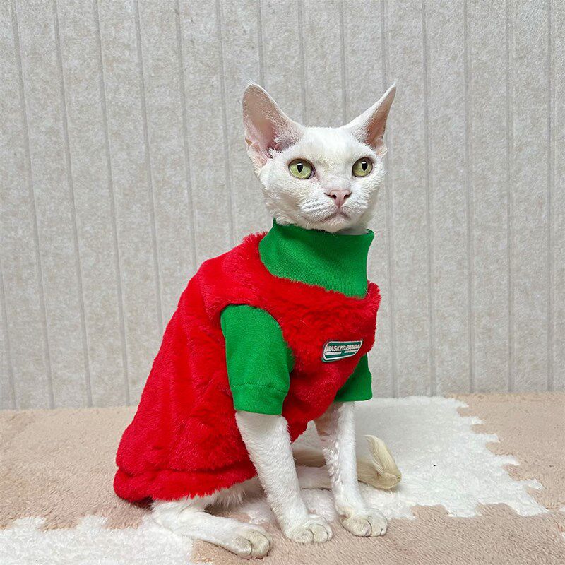 无毛猫德文猫咪衣服秋冬加厚兔毛高领毛衣纯棉红绿潮流撞色弹力