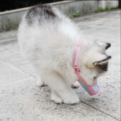 狗狗嘴套防咬防叫防乱吃嘴巴罩小型犬口罩防咬人神器宠物止吠器