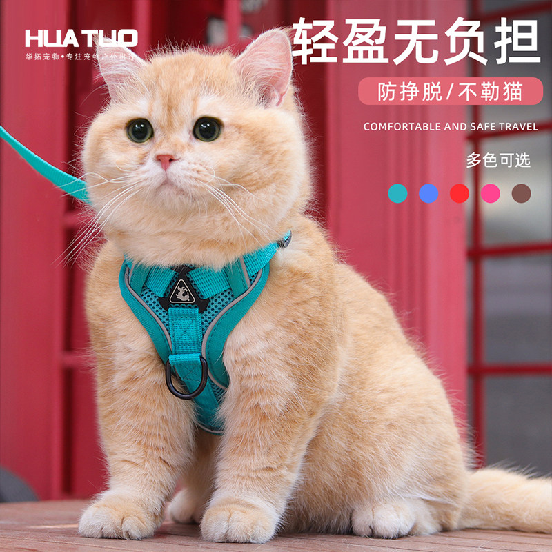 猫咪牵引绳防挣脱可调式背心式宠物透气胸背带缅因猫绳子家用栓猫,宠物/宠物食品及用品,猫牵引绳,淘宝优惠券,粉丝福利购,淘宝优惠卷