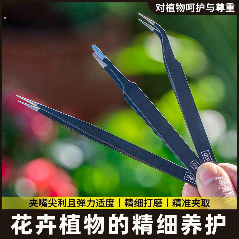 菖蒲专用镊子不锈钢摘黄叶剃黄修剪盆景摘叶夹子盆景专用工具大全