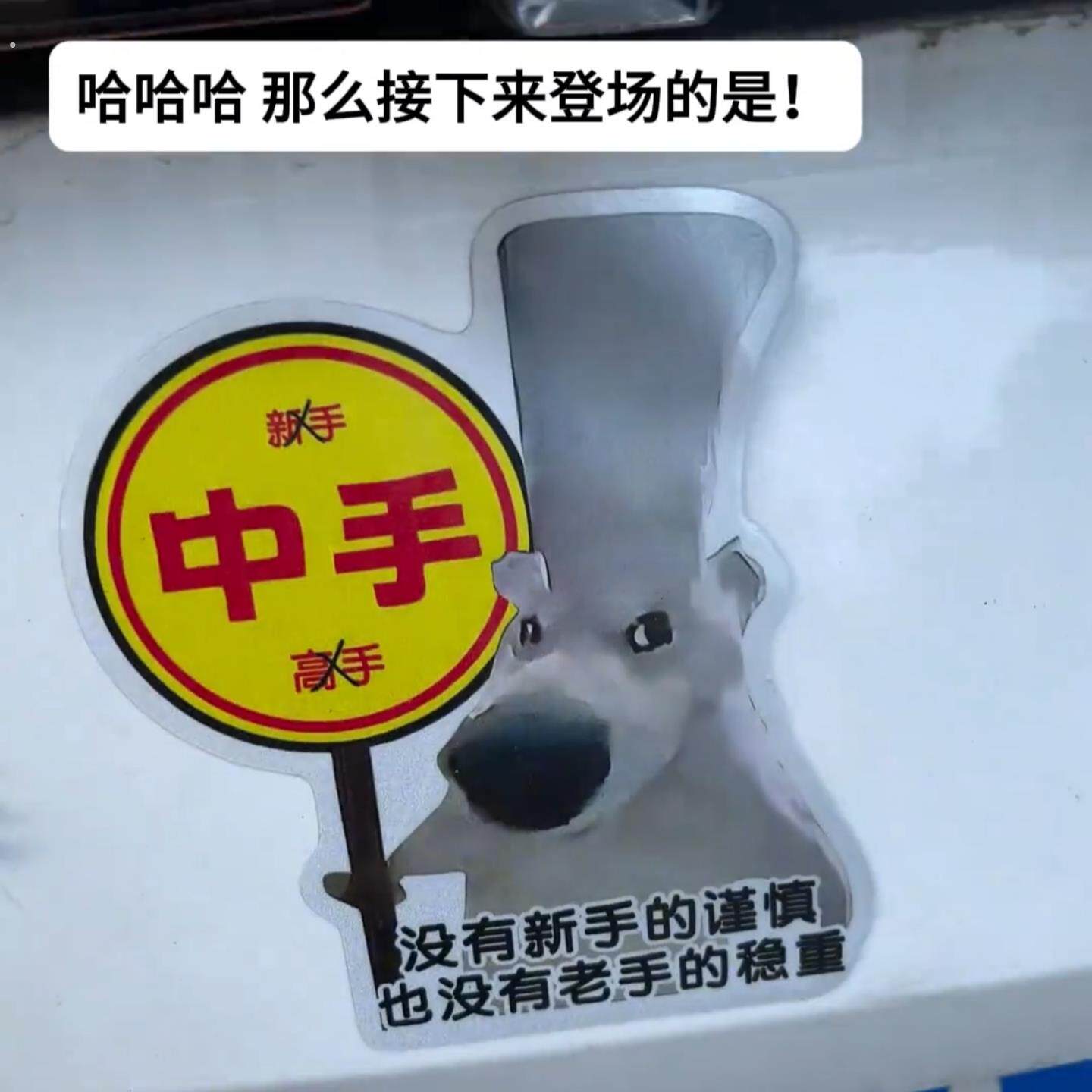 汽车中手创意贴纸实习车贴磁吸搞笑大号哈基狗个性车身后尾装饰贴