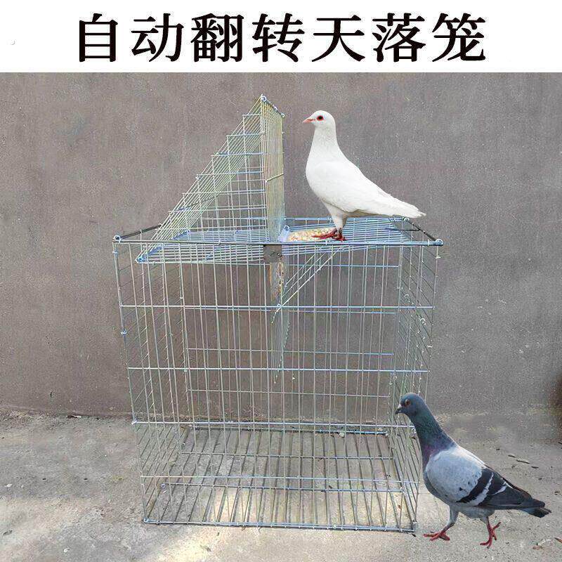 新款捕鸽神器家用自动天落鸟笼旋转笼翻板笼户外加粗鸽子养殖专用