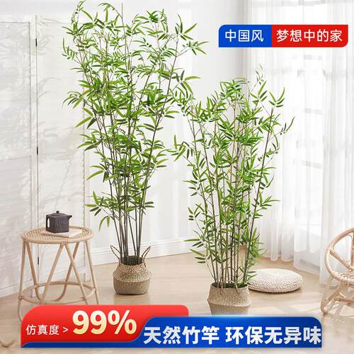 竹子隔断挡墙仿真竹子室内装饰假屏风造景室外装饰竹盆栽加密绿植