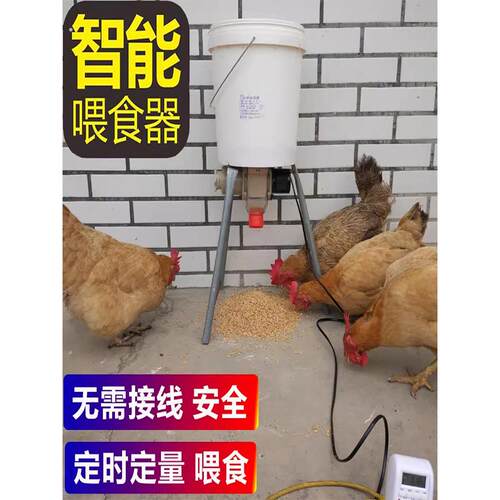 养鸡自动喂食器鸽子鸡鸭信鸽食槽定时全自动喂鸡神器鸽子用品用具