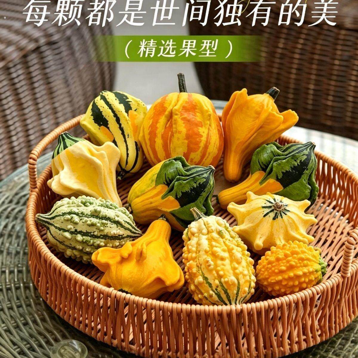 墨西哥七彩葫芦手捻小葫芦异形观赏小南瓜墨西哥葫芦摆件挂件装饰