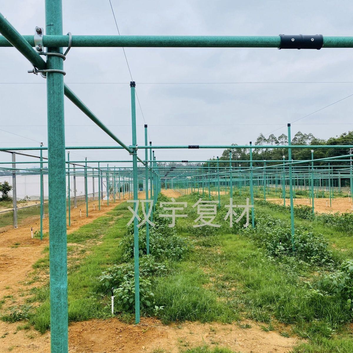 玻璃纤维管百香果种植遮阳网立柱大棚支架玻璃纤维杆高强度防护网