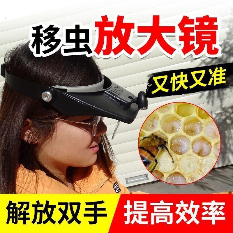 蜜蜂移虫放大镜头戴式移虫工具高清多倍数镜片育王取浆蜂具用品