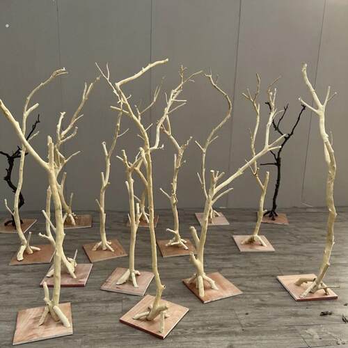 鸟禽用木制支架原木造型艺术摆件鸟站架附麻绳设计灯架造型干树枝