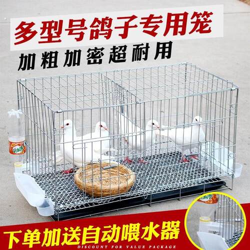大号鸽子笼家用配对养殖笼鸽子用品用具家用鸡笼鸽子笼大号繁殖鸽