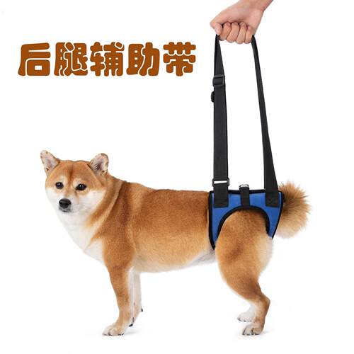 新品狗狗后腿辅助带高龄犬护理用品残疾犬助力带步行走路支架轻量