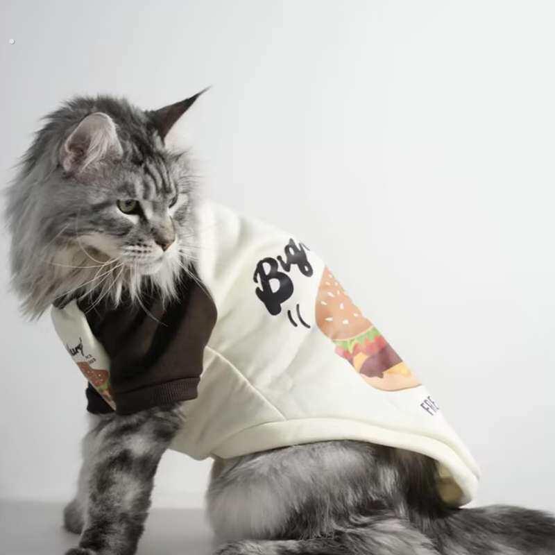 缅因猫专用衣服大号卫衣帅气薄款防掉毛酷春装春季宠物猫咪穿的
