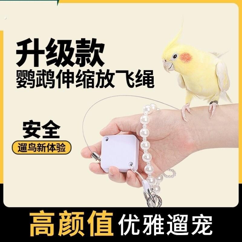 鹦鹉放飞溜鸟绳小鸟外出牵引绳牡丹虎皮玄凤放飞绳遛鸟神器训练绳