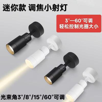 明装调焦聚光射灯可调变焦3°~60°饭厅玄关墙画迷你小角度气氛灯