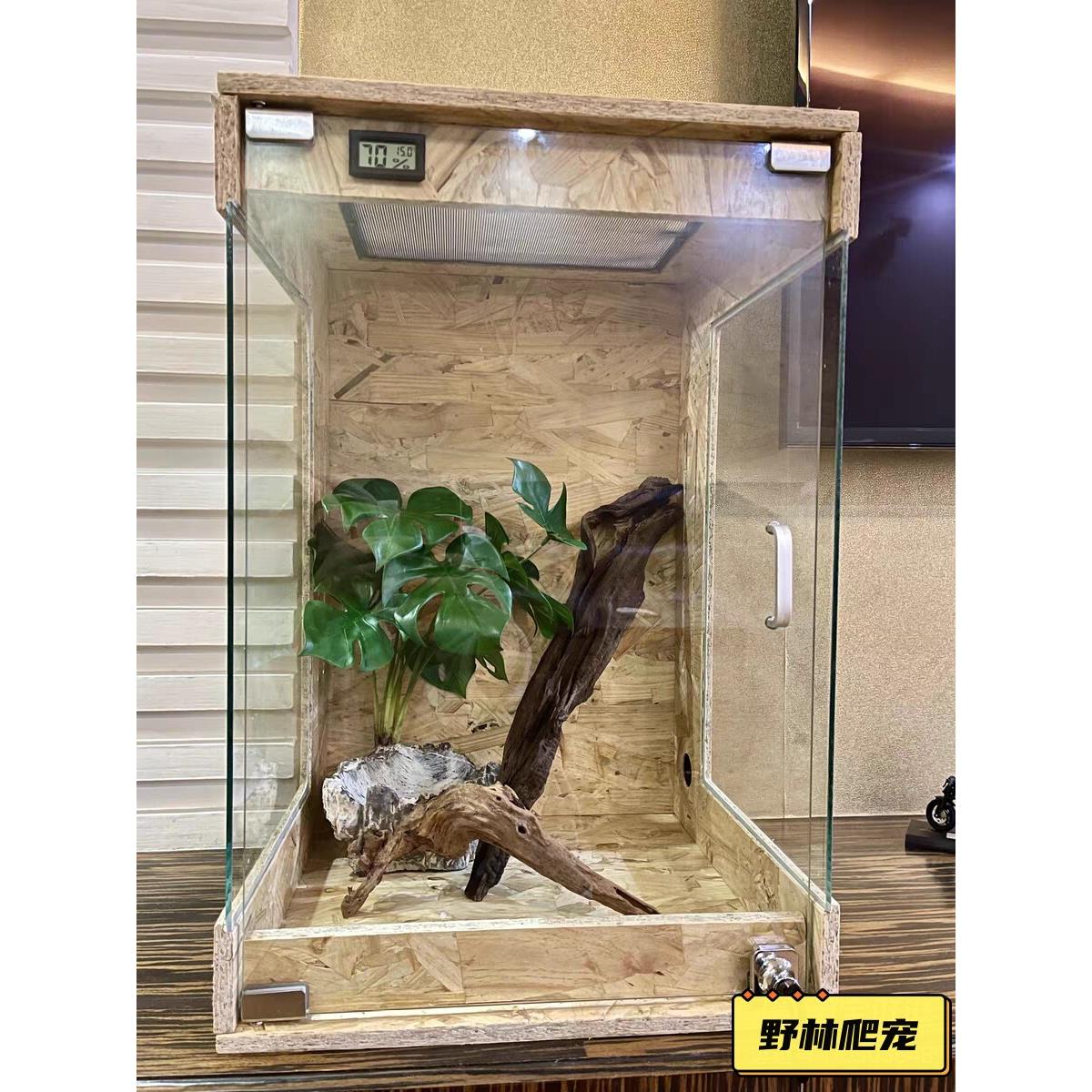 蜥蜴变色龙攀爬繁殖箱攀爬宠物实木雨箱玻璃生态箱糖滑翔机高箱培
