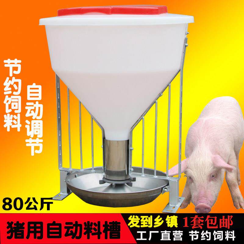 猪用粗桶料槽80公斤猪自由采食槽自动下料育肥猪大猪不锈钢猪食槽