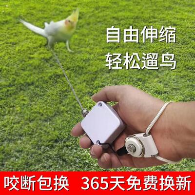 鹦鹉牵引绳自动伸缩脚环放飞绳不伤脚外出飞行遛鸟神器牡丹玄凤