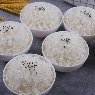饭真模型米品模拍食品真菜米仿假饭道具食型段子影视拍摄道具仿