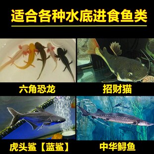 底栖鱼饲料沉底鱼食虎头鲨招财猫六角恐龙蝾螈下沉型鱼粮猪鼻龟粮