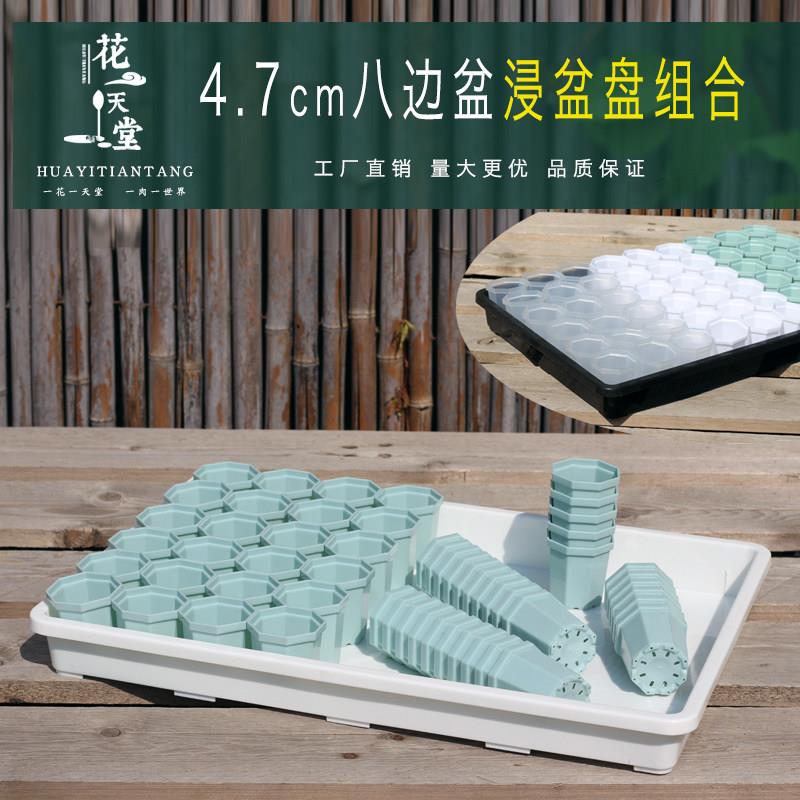 4.7多肉八边迷你花盆多功能整理浸盆接水盘组合播着育苗种植闷养