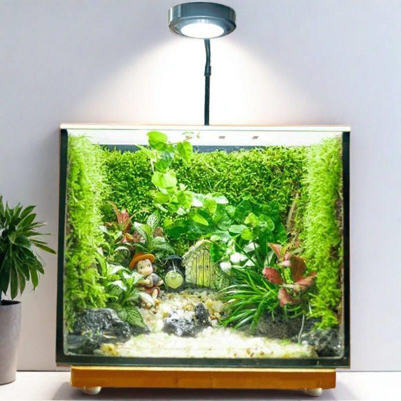 【精灵旅社】苔藓微景观生态缸爬宠蟹玻璃瓶桌面懒人闷养全套雨林