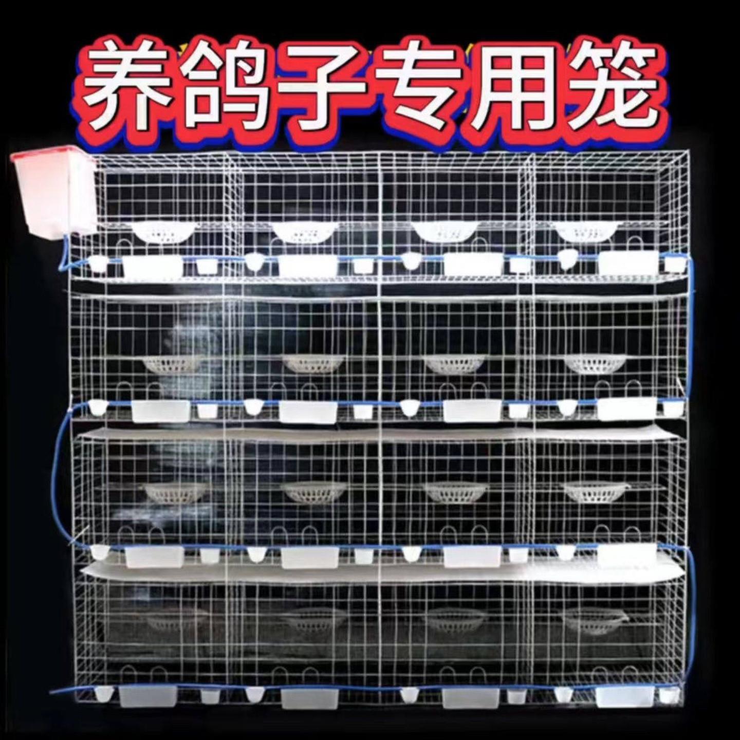加粗鸽子笼大号特大号元宝鸽子养殖鸽笼专用配对繁殖肉鸽笼