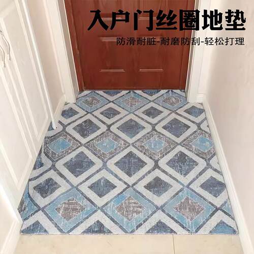 北欧丝圈进大门口地毯pvc 进入户门口全铺地垫耐脏防滑可裁剪加厚