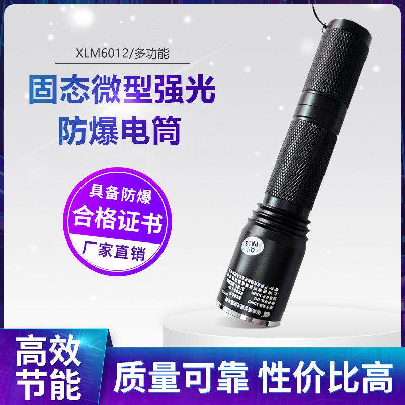 新黎明防爆手电筒强光巡检多功能消防工作矿灯充电户外手电筒多规
