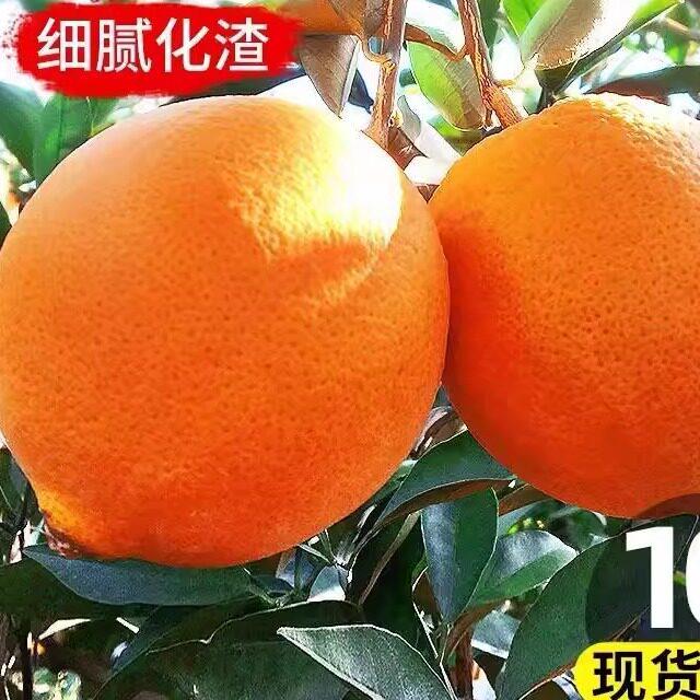 脐橙纽荷尔橙子正宗10斤大果新鲜水果送礼盒产自四川大凉山