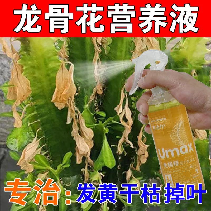 龙骨花专用营养液治黄叶干瘪发软有机肥绿叶生根促花免稀释液体肥