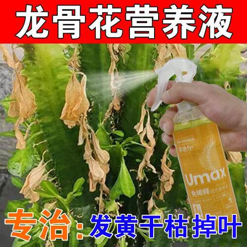 龙骨花专用营养液治黄叶干瘪发软有机肥绿叶生根促花免稀释液体肥