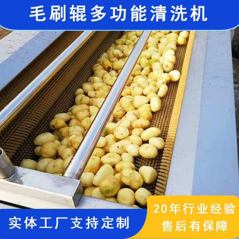 即食水晶藕片清洗风干加工设备 魔芋去皮机 多功能莲藕清洗脱皮机