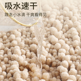 家用浴室吸水地垫卫生间防滑垫卧室门口脚踏垫洗手间门垫厕所地毯