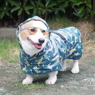 宠物狗狗雨衣卡通雨披防水防脏斗篷柴犬泰迪秋田犬柯基中型犬肚兜