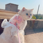 猫咪胸背带狗狗牵引绳公主裙雪纺花边珍珠仙女宠物遛猫防挣脱绳子