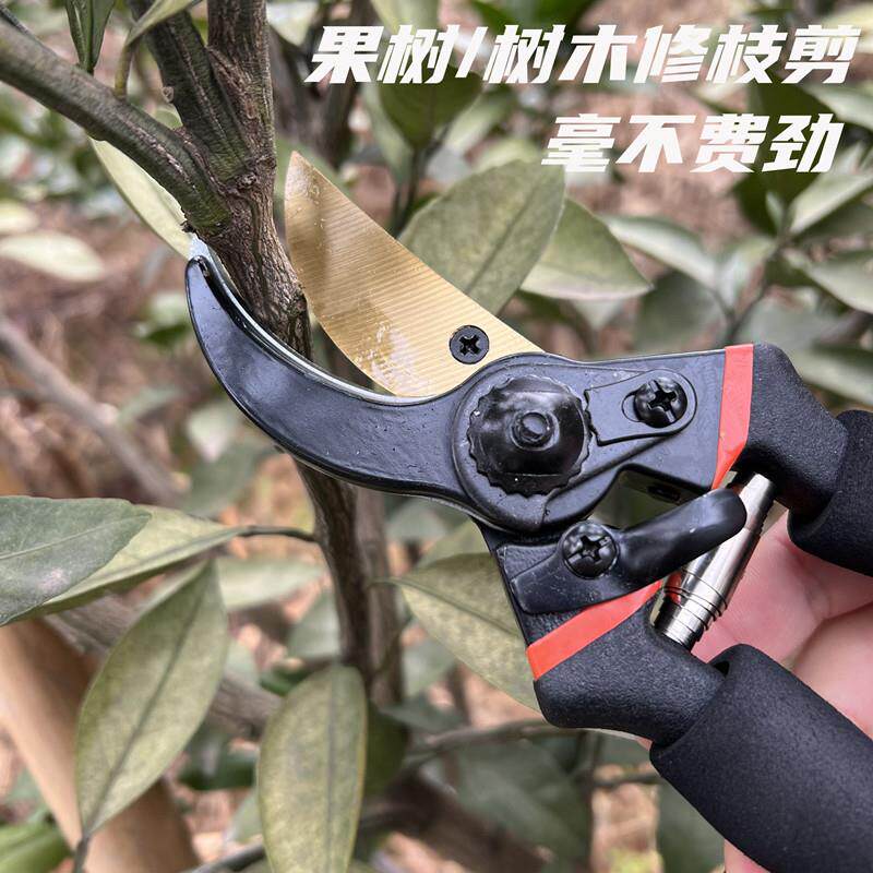 新款黑色省力修枝剪园艺园林剪果树剪枝海绵柄修树剪子花艺剪