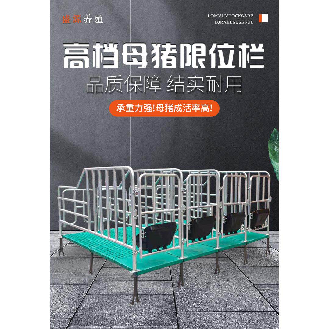 母猪定位栏猪落地式母猪位带复合漏粪板保育育肥限位栏饲料粉碎机
