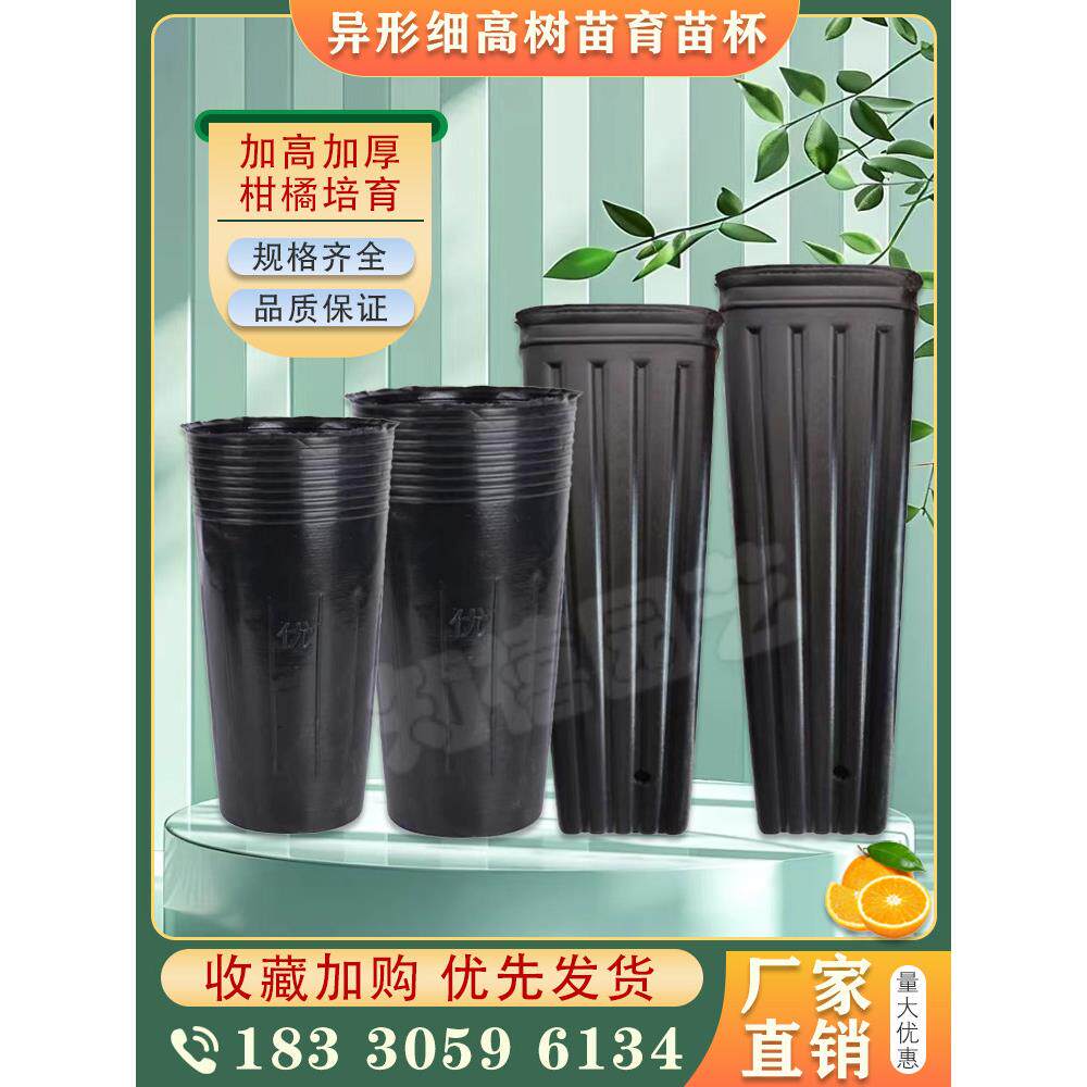 脐橙柑橘育苗袋营养碗育苗杯加厚育苗杯薄高塑料营养碗育苗罐方形