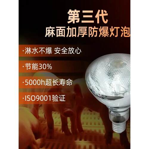 麻面保温灯加厚防水防爆保暖节能猪场养殖保温灯鸡苗保暖小鸡仔猪