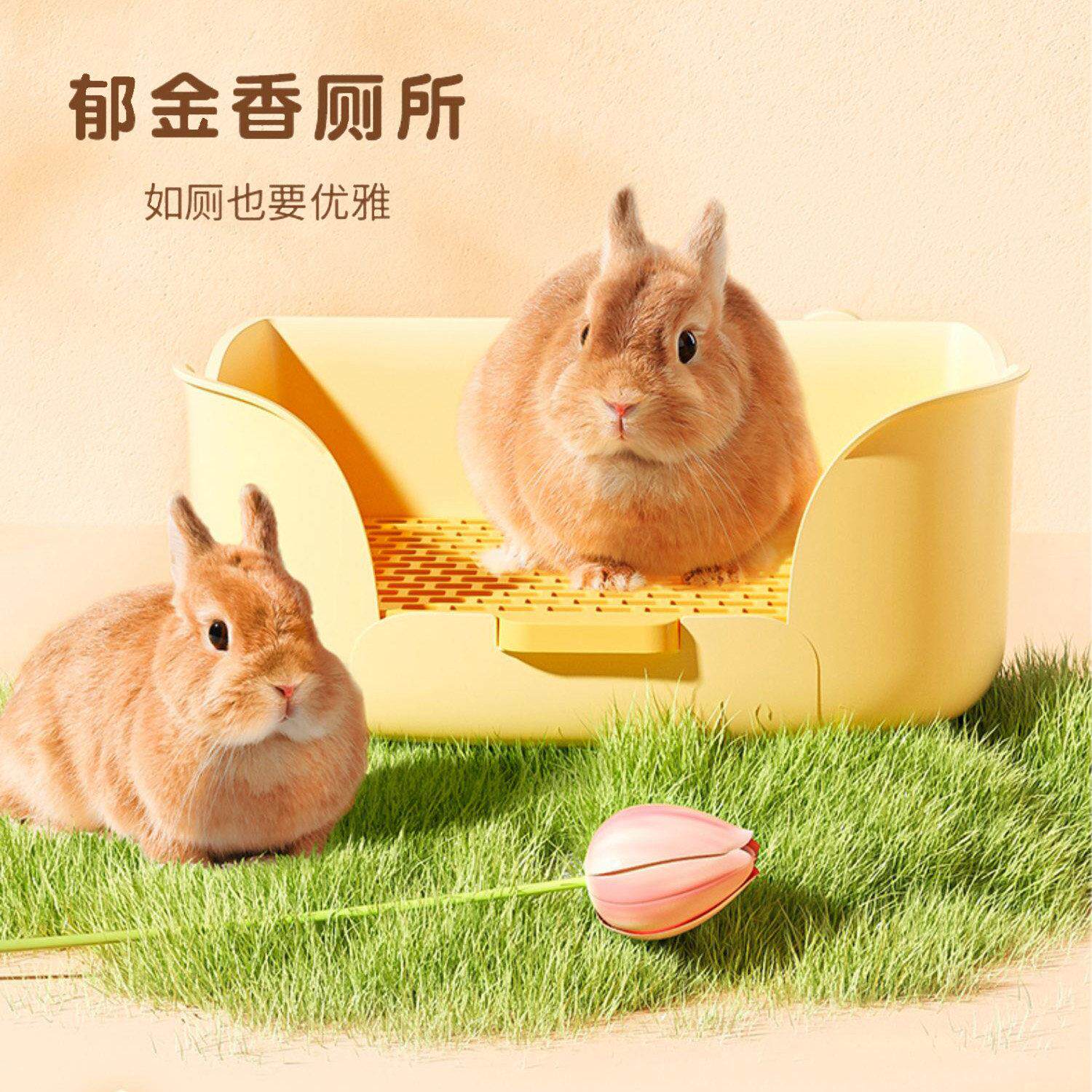 兔子专用大号厕所郁金香系列厕所草架荷兰猪尿盆龙猫兔子用品