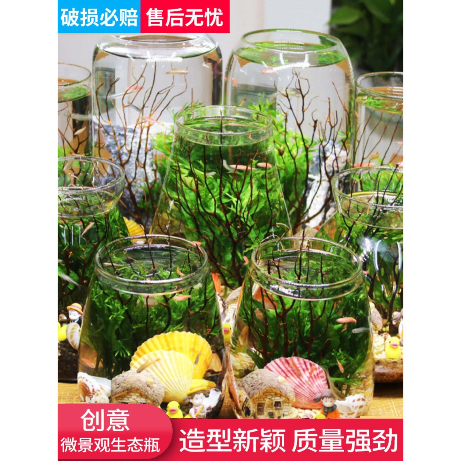 创意生态鱼缸超白造景懒人微景观DIY室内客厅迷你生态瓶免换水