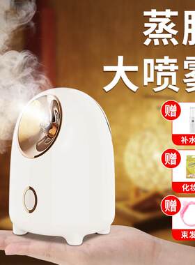 蒸脸仪纳米喷雾保湿仪打开毛孔排毒脸面部美容仪热喷机家用蒸脸器