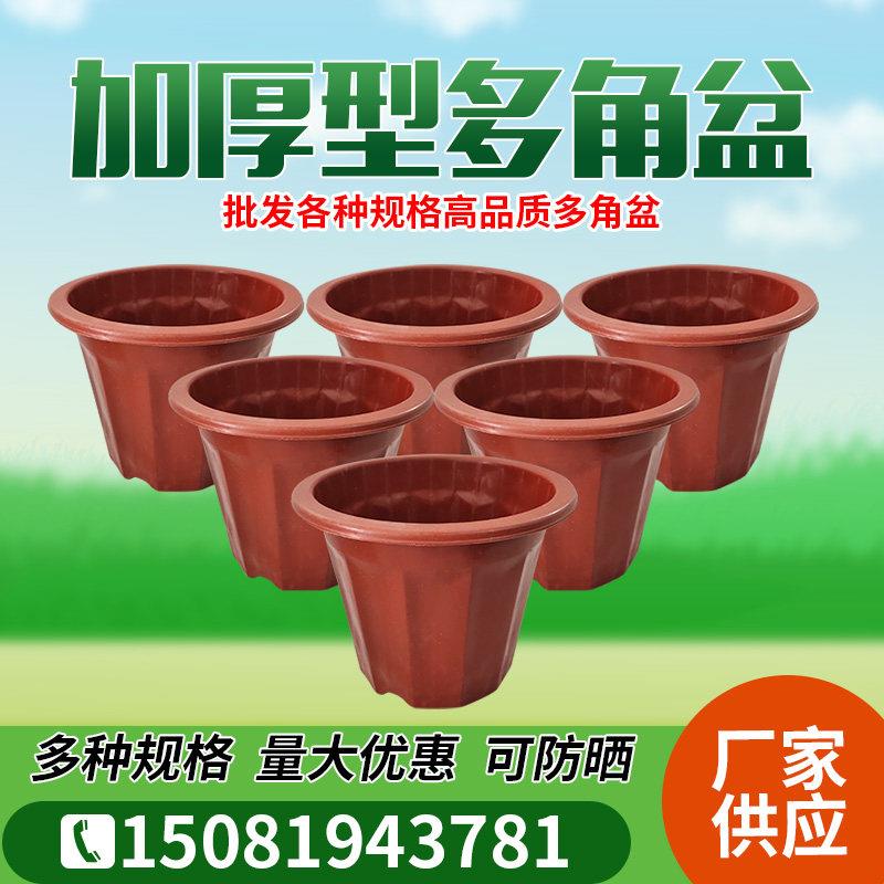 多角盆一次性加厚型塑料花盆植物育苗盆橘红色盆蔬菜瓜果种植盆
