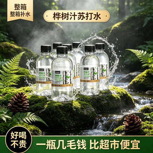 【买一送一】白桦树汁苏打水饮料网红饮品300ml*12瓶整箱饮用水