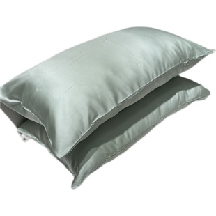 凉爽60支天丝单人枕套纯色丝滑枕头48*74枕皮宝宝亲肤枕巾不含芯