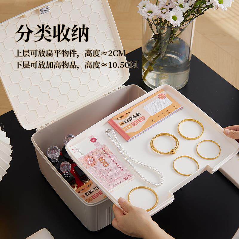 收纳盒带密码高档精致密码锁保险箱首饰盒手饰饰品文具指纹带锁盒